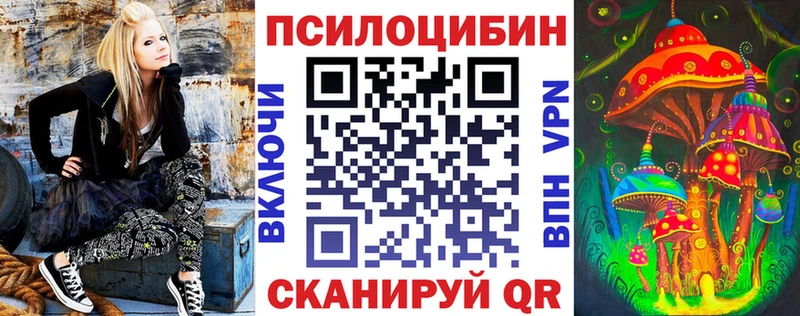 ссылка на мегу как зайти  Раменское  Галлюциногенные грибы мицелий 