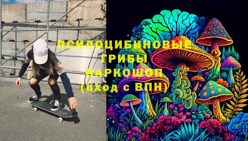 OMG ССЫЛКА  Раменское  Псилоцибиновые грибы Psilocybe 