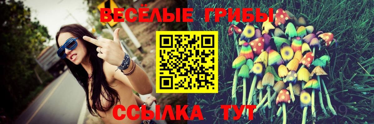 Галлюциногенные грибы Psilocybine cubensis Раменское