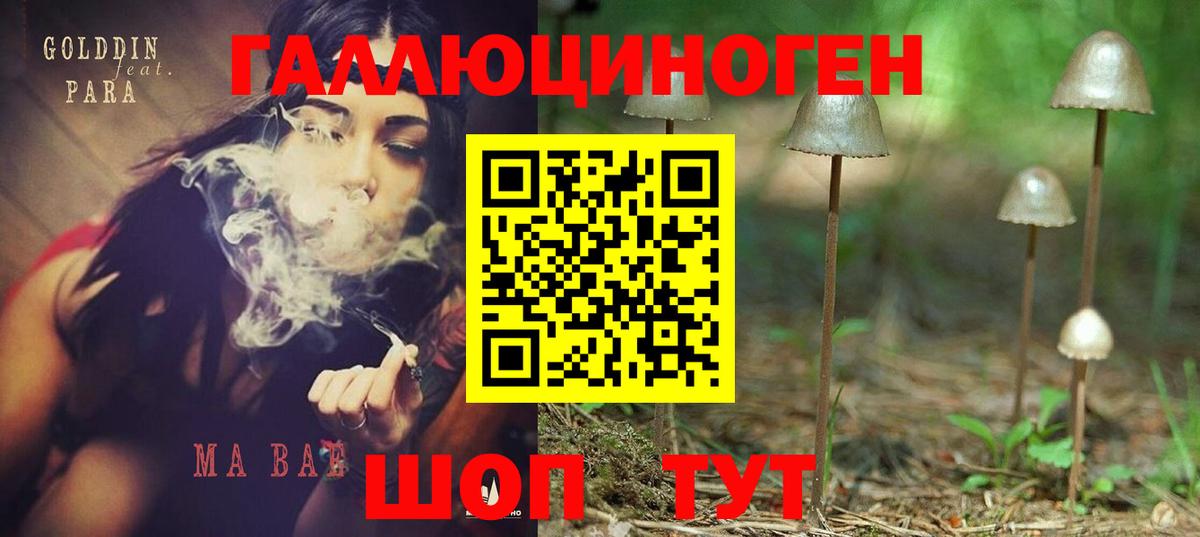 Раменское  закладка  Вход с VPN  Псилоцибиновые грибы мицелий  Галлюциногенные грибы Cubensis 