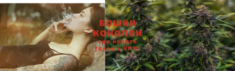 где найти   Раменское  Бошки Шишки OG Kush 